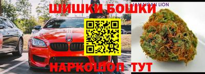 индика Будённовск