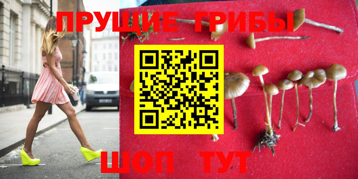 Галлюциногенные грибы MAGIC MUSHROOMS Сорочинск