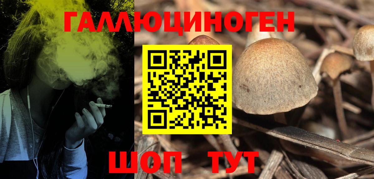 Сорочинск  Галлюциногенные грибы прущие грибы  Вход с VPN 